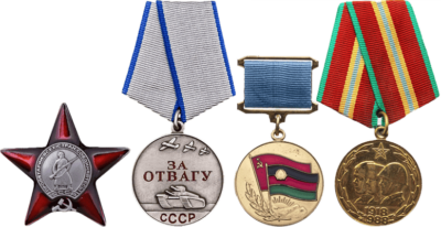 «Орден Красной Звезды», медаль «За отвагу», «Воину-интернационалисту от благодарного афганского народа», юбилейная медаль «70 лет ВС СССР»