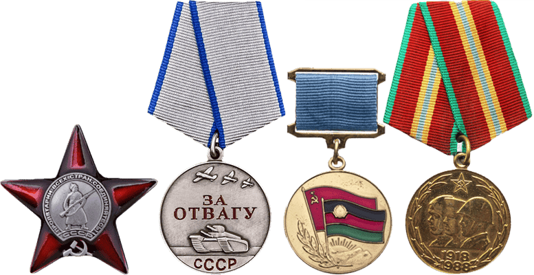 «Орден Красной Звезды», медаль «За отвагу», «Воину-интернационалисту от благодарного афганского народа», юбилейная медаль «70 лет ВС СССР»
