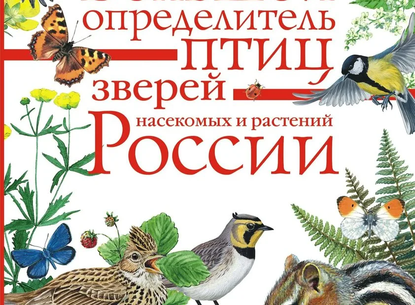 Большой определитель птиц, зверей, насекомых и растений России