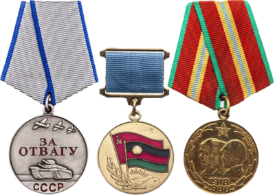 Медали: «Воину-интернационалисту от благодарного афганского народа», «70 лет ВС СССР», «За отвагу»