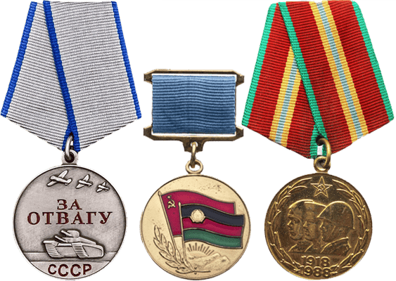 Медали: «Воину-интернационалисту от благодарного афганского народа», «70 лет ВС СССР», «За отвагу»